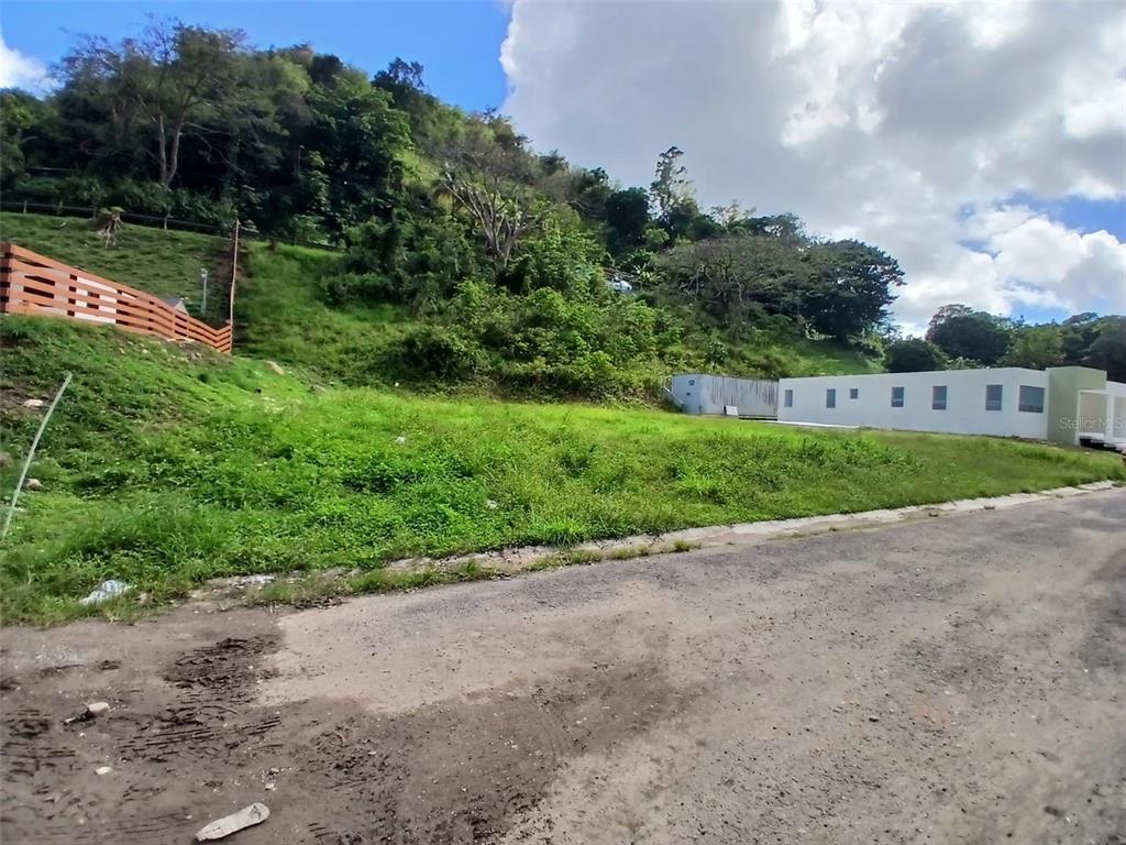Property Images