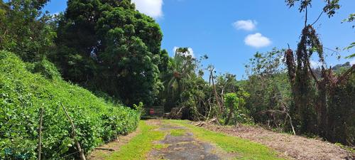 0 908 INTERIOR, Aguacate (Barrio), Yabucoa, Puerto Rico 00767