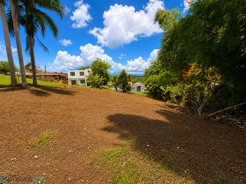 PR 450 PIEDRAS BLANCAS, Piedras Blancas (Barrio), San Sebastián, Puerto Rico 00685