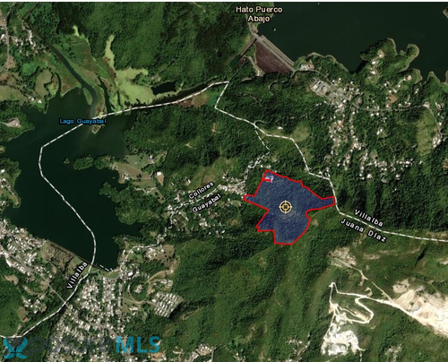Carr. 149 BO. GUAYABAL KM HM 59.9 INT 557 SECTOR LAJITA JUANA DIAZ, PR 00795, Lajitas (Sector), Juana Diaz, Puerto Rico 00795
