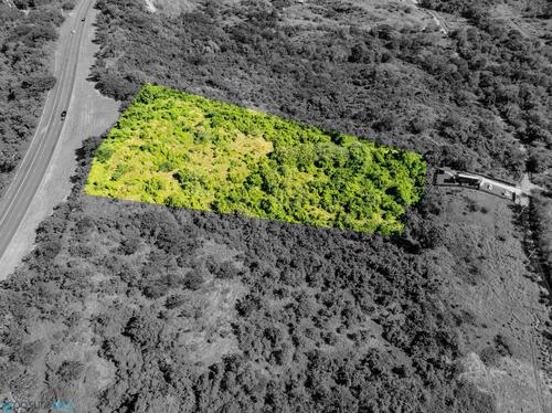 Km 13.1 CARRETERA 100, Los Martinez (Sector), Cabo Rojo, Puerto Rico 00623