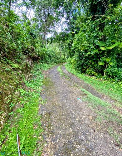 ST 627 SECTOR LAS CANTARAS KM 7.0, Sabana Hoyos (Barrio), Arecibo, Puerto Rico 00688