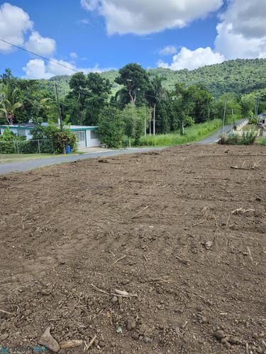0 BO. LOMAS, Lomas (Barrio), Canovanas, Puerto Rico 00729