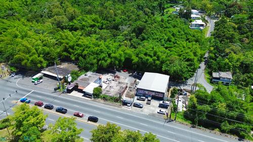 SR 1 BO RIO CAÑAS SECTOR LA PONDEROSA CARR SR 1, La Ponderosa (Barrio), Caguas, Puerto Rico 00725