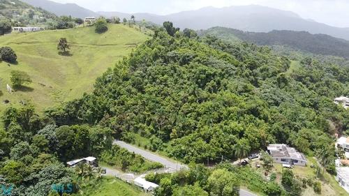 5.4 PR 950 KM, Pena Pobre (Barrio), Naguabo, Puerto Rico 00718
