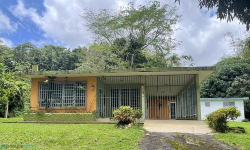 Carr. 788 TOMAS DE CASTRO 1 kM 6.5, Tomas De Castro (Barrio), Caguas, Puerto Rico 00725