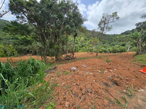 0 ESTANCIA LA SIERRA II, Estancias De La Sierra (Urbanizac, Aguas Buenas, Puerto Rico 00703
