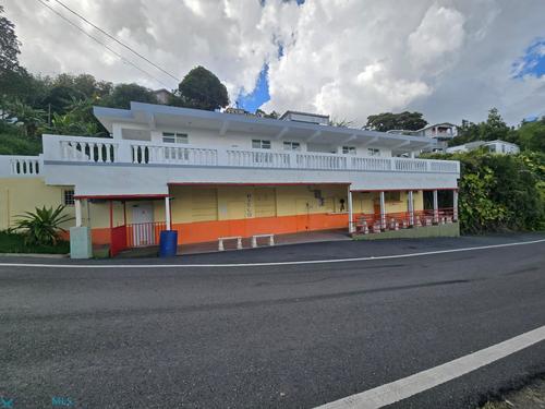 780 km 3.3 DOÑA ELENA, Dona Elena (Barrio), Comerio, Puerto Rico 00782