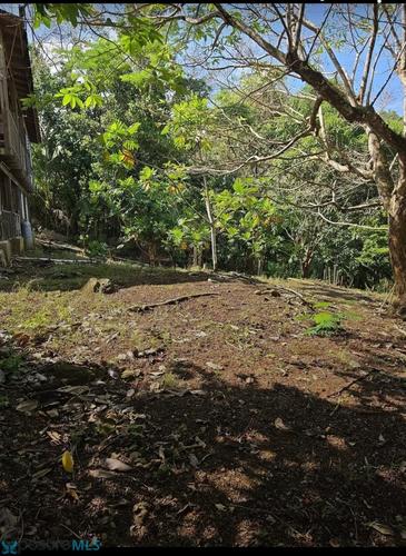 Santa Rita KM. 59 BARRIO SANTA RITA, SECTOR TULO ALEMÁN, GURABO Gurabo, Celada (Barrio), Gurabo, Puerto Rico 00778